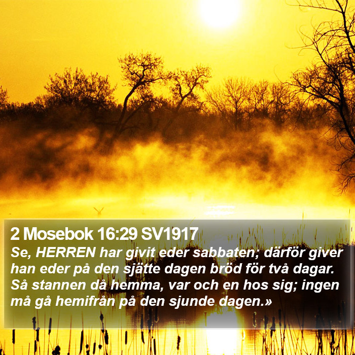 2 Mosebok 16:29 SV1917 Bible Study