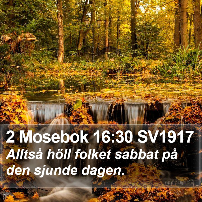 2 Mosebok 16:30 SV1917 Bible Study