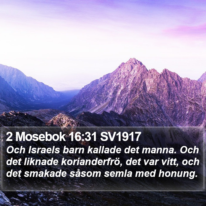 2 Mosebok 16:31 SV1917 Bible Study