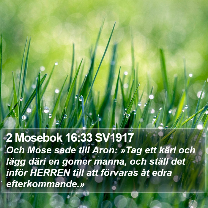 2 Mosebok 16:33 SV1917 Bible Study