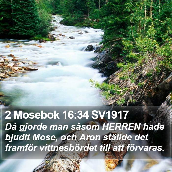 2 Mosebok 16:34 SV1917 Bible Study