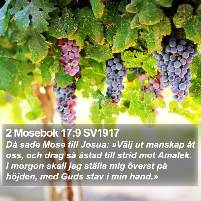 2 Mosebok 17:9 SV1917 Bible Study
