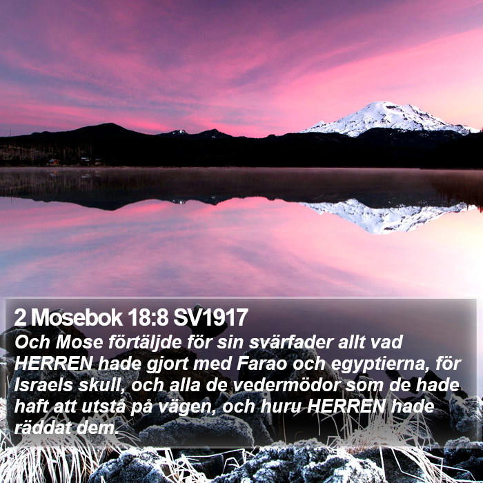 2 Mosebok 18:8 SV1917 Bible Study