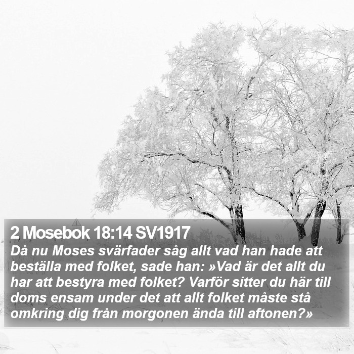 2 Mosebok 18:14 SV1917 Bible Study