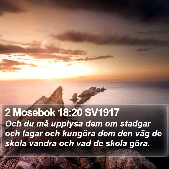 2 Mosebok 18:20 SV1917 Bible Study