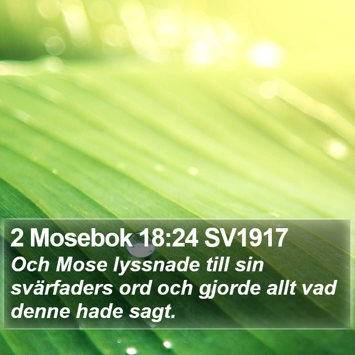 2 Mosebok 18:24 SV1917 Bible Study