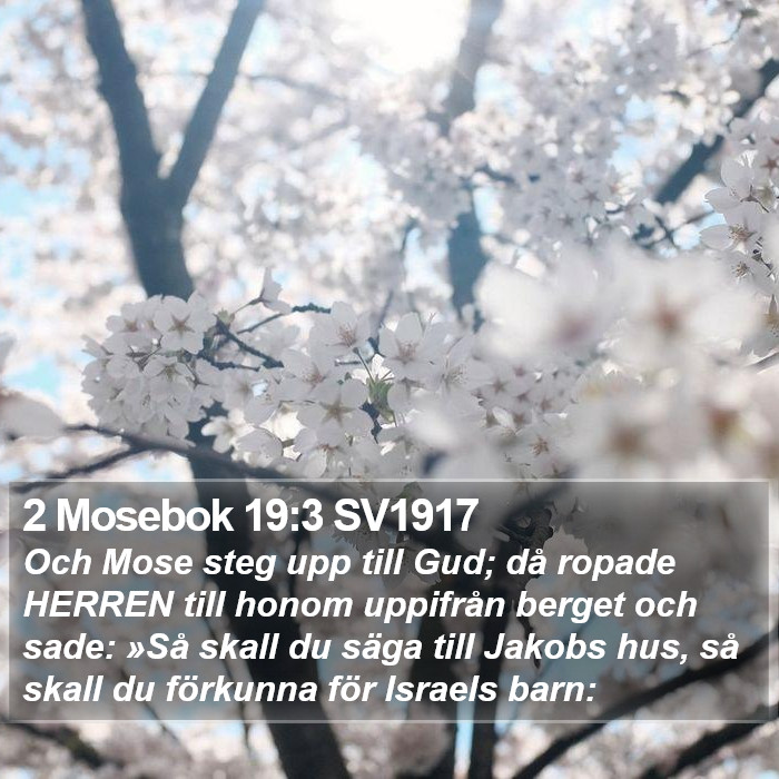 2 Mosebok 19:3 SV1917 Bible Study