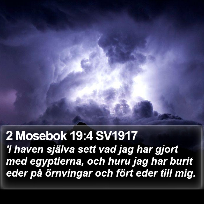 2 Mosebok 19:4 SV1917 Bible Study