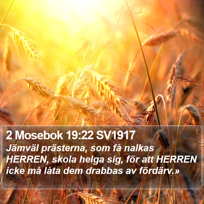 2 Mosebok 19:22 SV1917 Bible Study