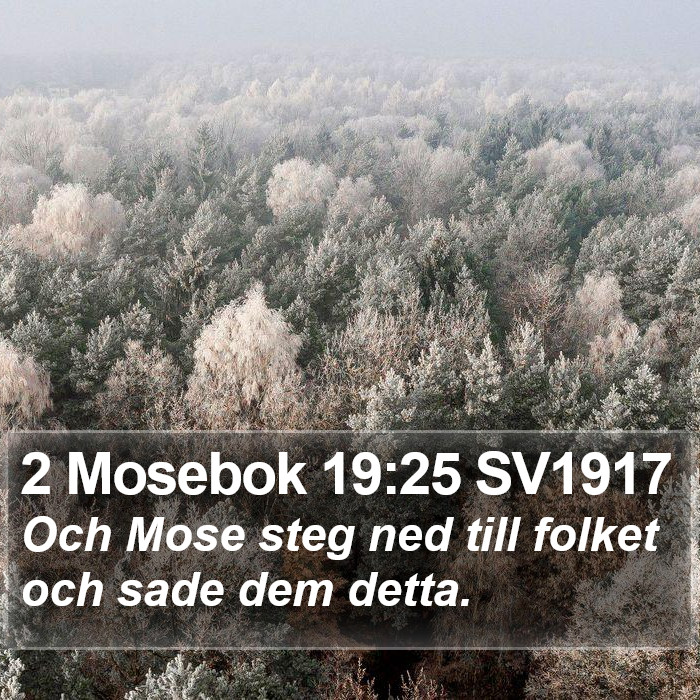 2 Mosebok 19:25 SV1917 Bible Study