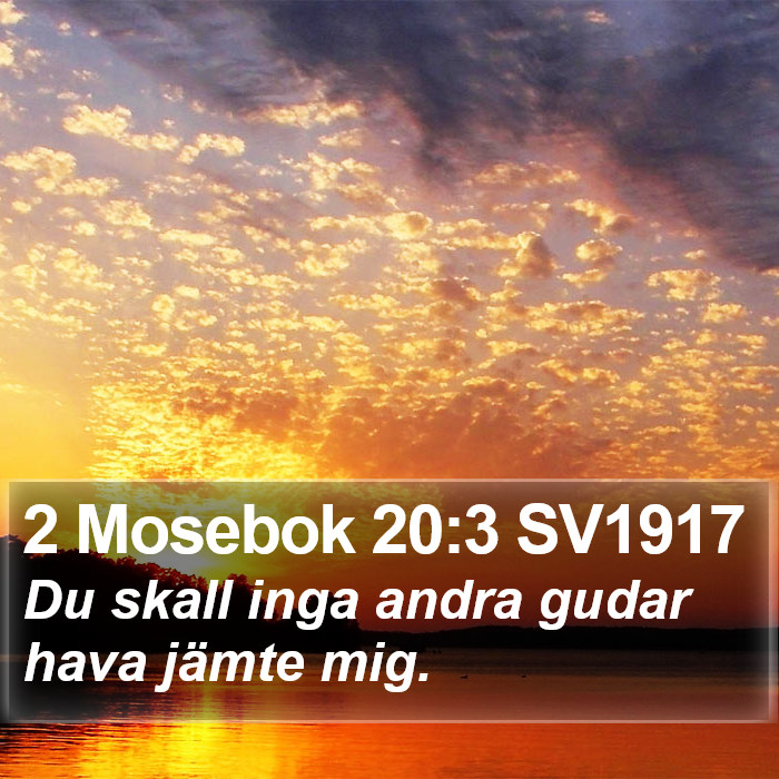 2 Mosebok 20:3 SV1917 Bible Study