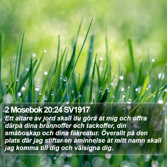 2 Mosebok 20:24 SV1917 Bible Study