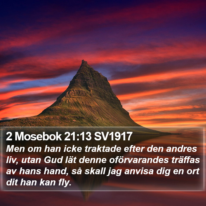 2 Mosebok 21:13 SV1917 Bible Study