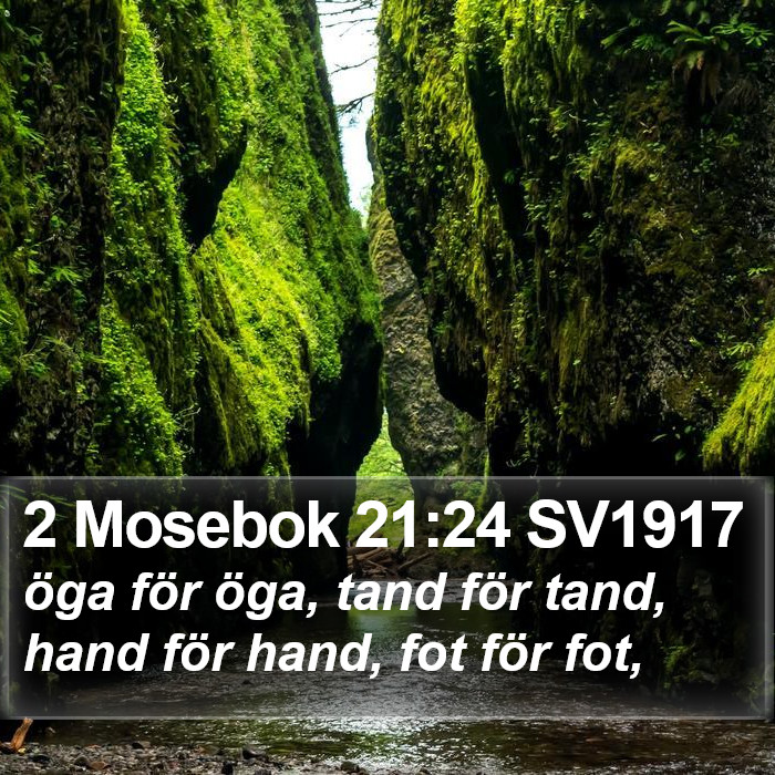 2 Mosebok 21:24 SV1917 Bible Study