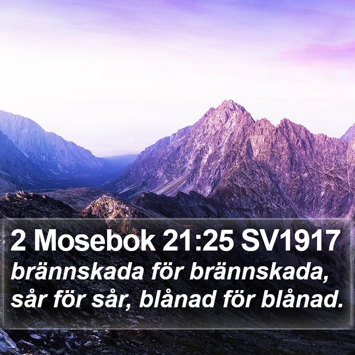 2 Mosebok 21:25 SV1917 Bible Study