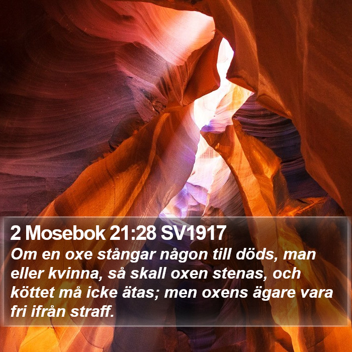 2 Mosebok 21:28 SV1917 Bible Study
