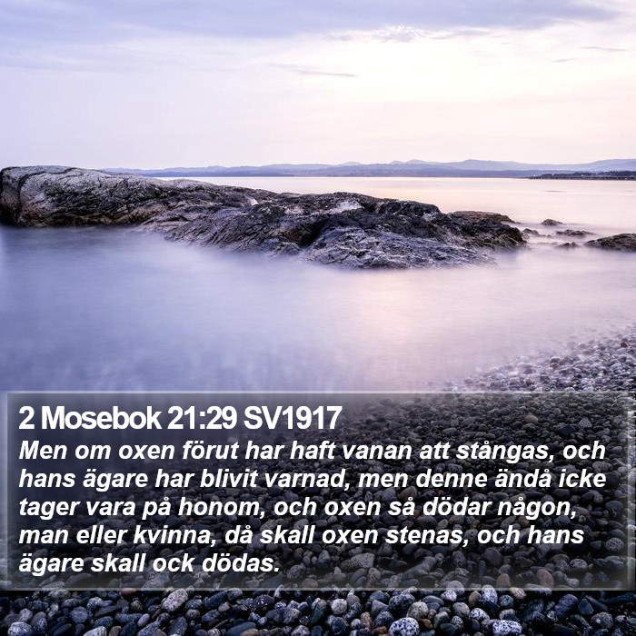 2 Mosebok 21:29 SV1917 Bible Study