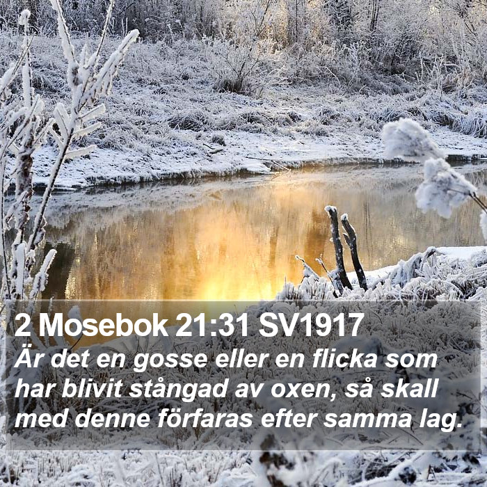 2 Mosebok 21:31 SV1917 Bible Study