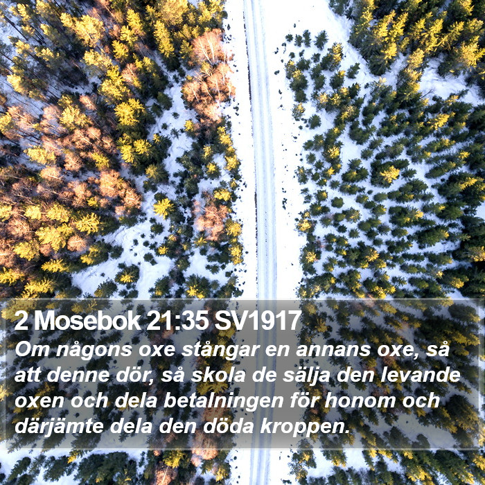 2 Mosebok 21:35 SV1917 Bible Study