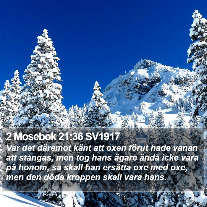 2 Mosebok 21:36 SV1917 Bible Study