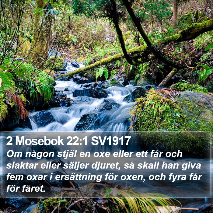 2 Mosebok 22:1 SV1917 Bible Study