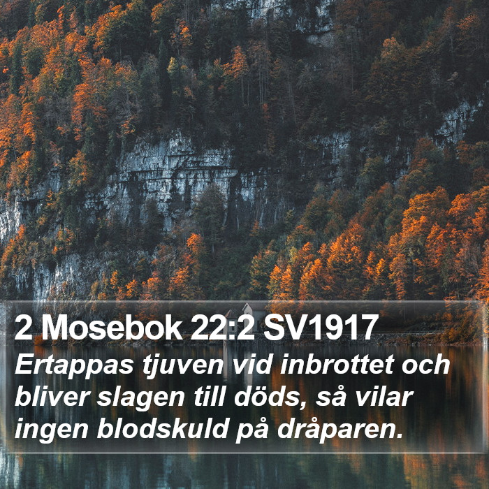 2 Mosebok 22:2 SV1917 Bible Study