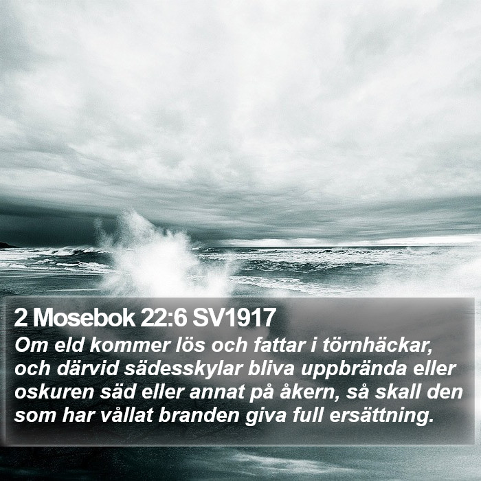 2 Mosebok 22:6 SV1917 Bible Study