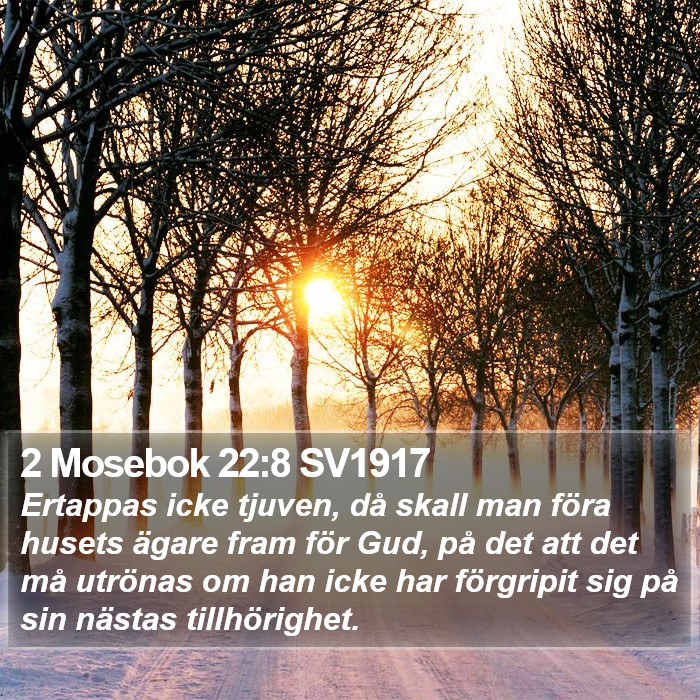 2 Mosebok 22:8 SV1917 Bible Study