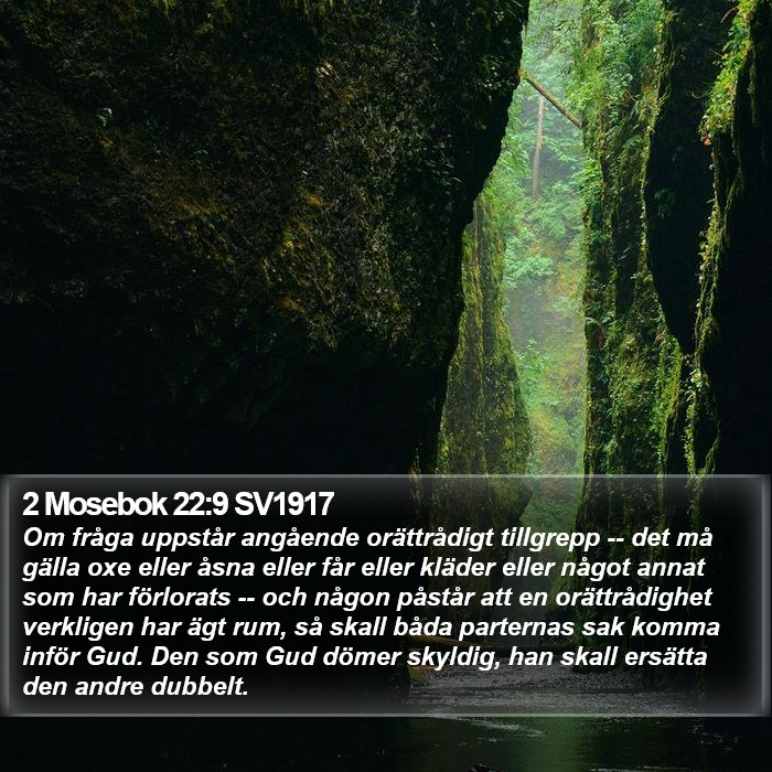 2 Mosebok 22:9 SV1917 Bible Study