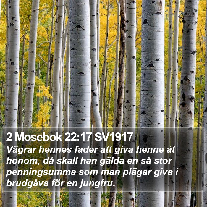 2 Mosebok 22:17 SV1917 Bible Study