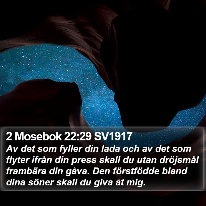 2 Mosebok 22:29 SV1917 Bible Study