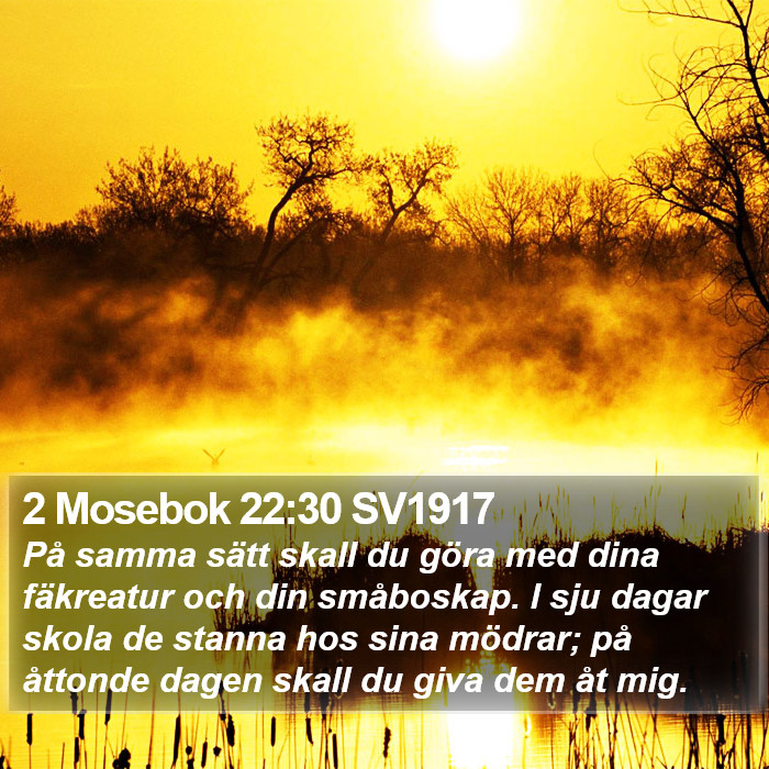 2 Mosebok 22:30 SV1917 Bible Study