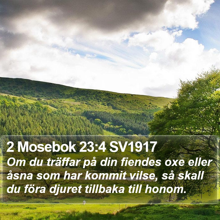 2 Mosebok 23:4 SV1917 Bible Study