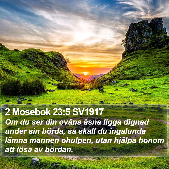 2 Mosebok 23:5 SV1917 Bible Study