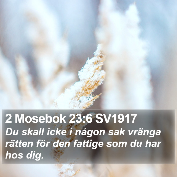 2 Mosebok 23:6 SV1917 Bible Study