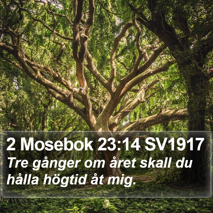 2 Mosebok 23:14 SV1917 Bible Study