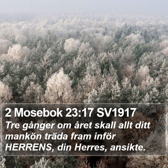 2 Mosebok 23:17 SV1917 Bible Study