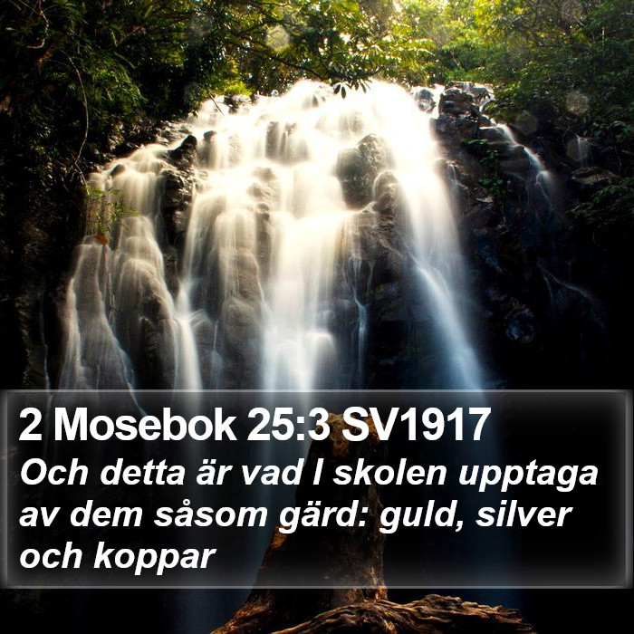 2 Mosebok 25:3 SV1917 Bible Study