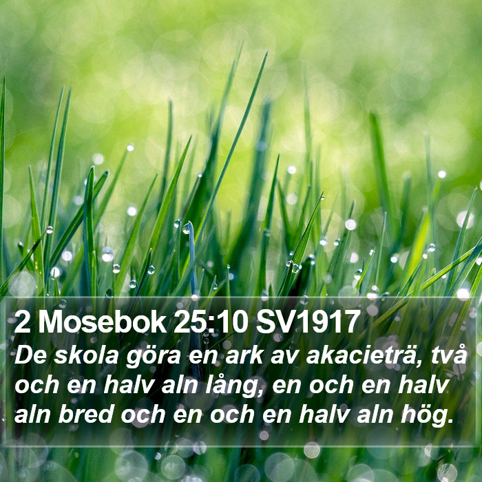2 Mosebok 25:10 SV1917 Bible Study