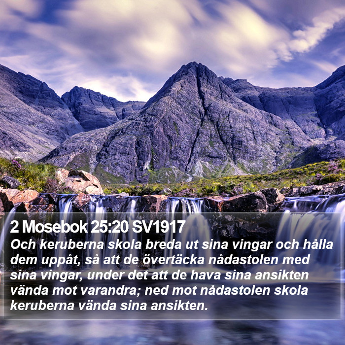 2 Mosebok 25:20 SV1917 Bible Study