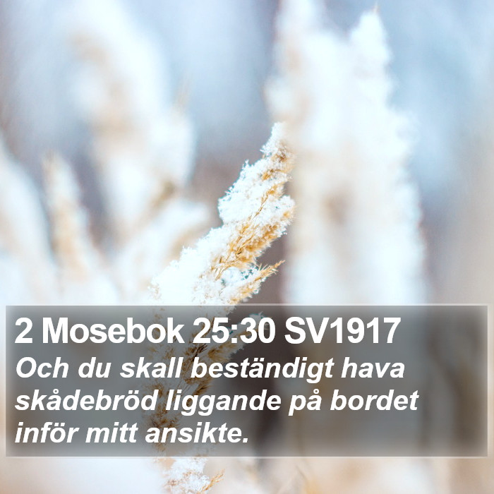 2 Mosebok 25:30 SV1917 Bible Study