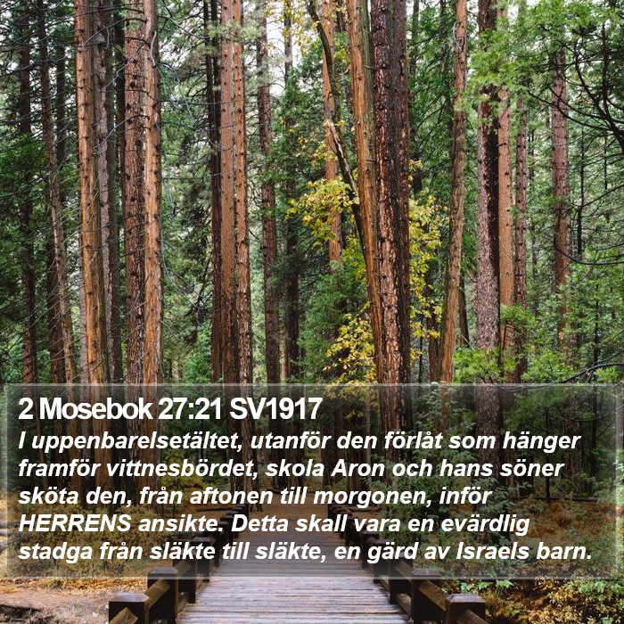 2 Mosebok 27:21 SV1917 Bible Study