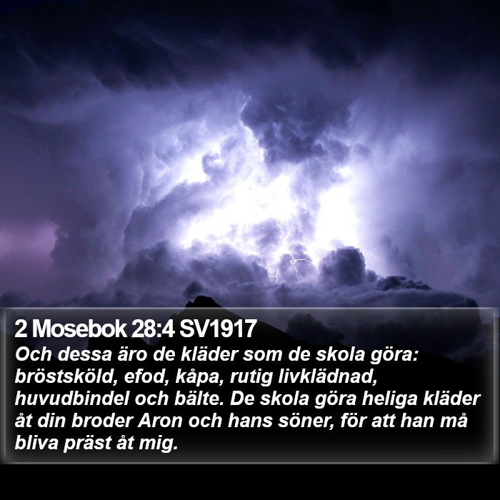 2 Mosebok 28:4 SV1917 Bible Study