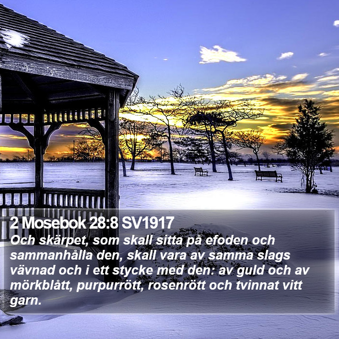 2 Mosebok 28:8 SV1917 Bible Study