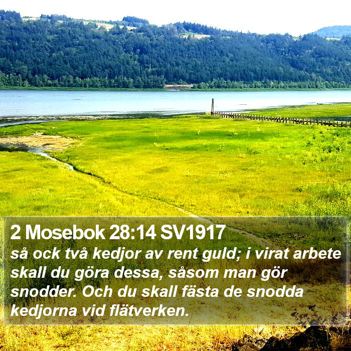 2 Mosebok 28:14 SV1917 Bible Study