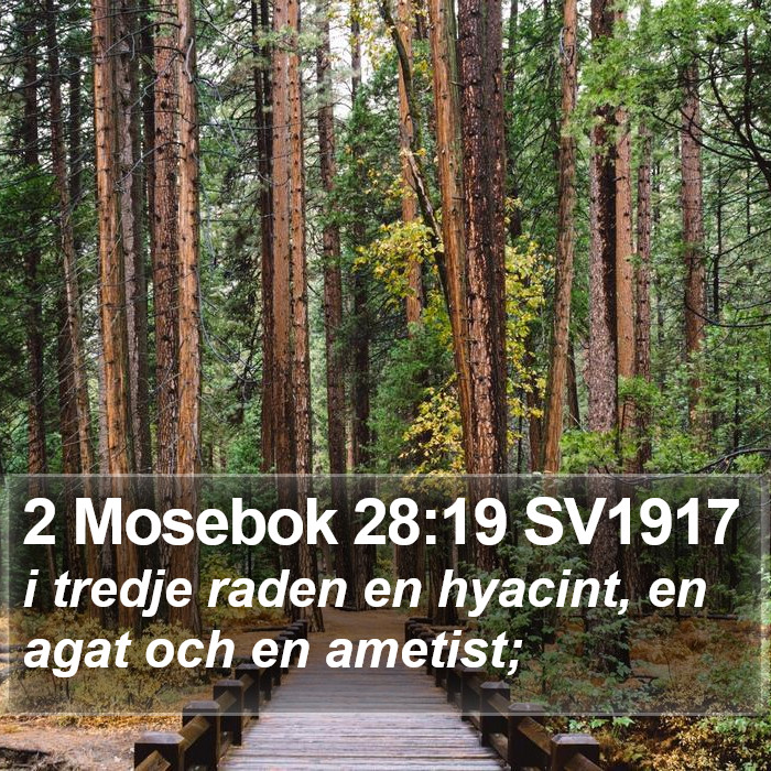 2 Mosebok 28:19 SV1917 Bible Study