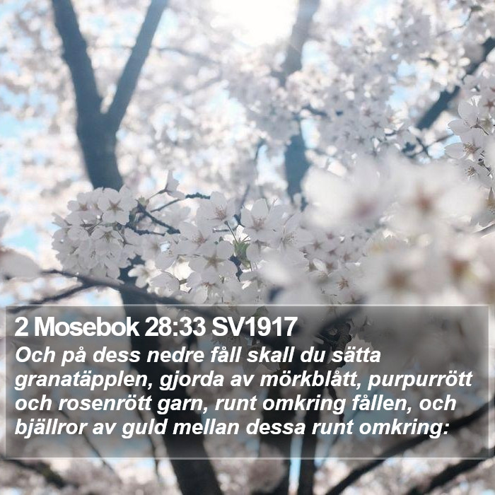 2 Mosebok 28:33 SV1917 Bible Study