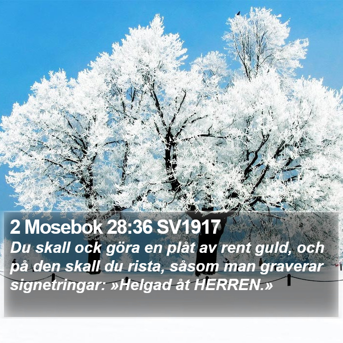 2 Mosebok 28:36 SV1917 Bible Study