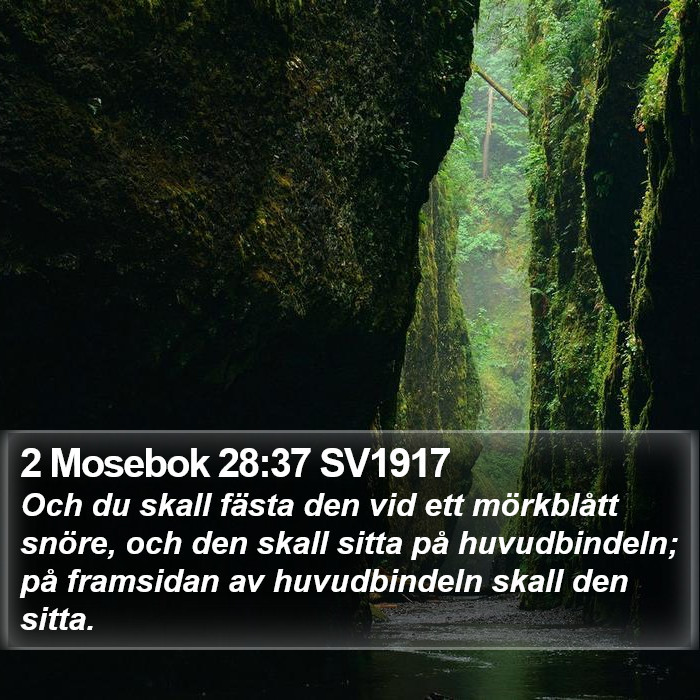 2 Mosebok 28:37 SV1917 Bible Study