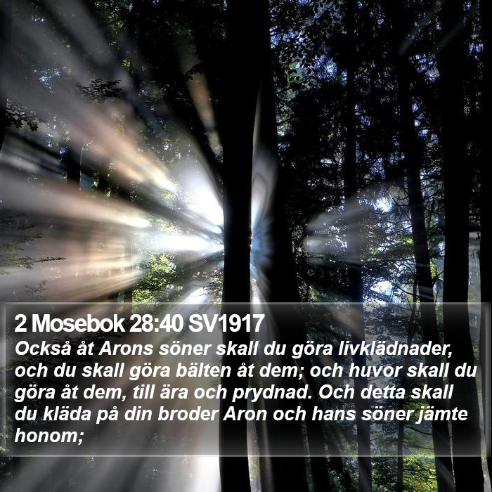 2 Mosebok 28:40 SV1917 Bible Study